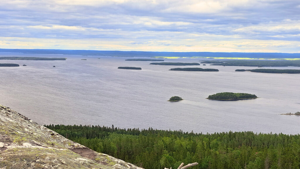 Koli